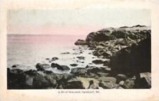 1910s Seacoast Rocks Ogunquit Maine Vintage Postcard picture