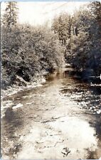 Wilson River Oregon RPPC Real Photo Postcard 1915 OE picture