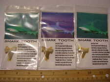 Shark teeth Otodus Obliquus 50 million years w/info card  (3) tooth lot picture