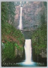 State View~Bridge By Multnomah Falls From Below~Continental Postcard picture