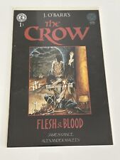 J. O’Barr’s The Crow Flesh And Blood #1  Hard To Find Issue picture