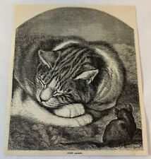 1882 magazine engraving~ MOUSE LOOKING AT SLEEPING CAT picture