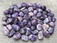 Grade A++ Lepidolite Tumbled Stones 0.75-1.25 Inch, Wholesale Bulk Lot picture