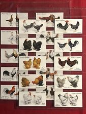 1931 JOHN PLAYER-POULTRY-CHICKENS ROOSTERS-HENS-COMPLETE 50 CARD-VG+EXCELLENT picture