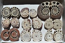 WHOLESALE Ammonite Pairs from Indonesia 9 pairs 2 kg # 5328 picture