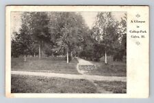 Galva, IL-Illinois, Glimpse In College Park Antique c1909, Vintage Postcard picture