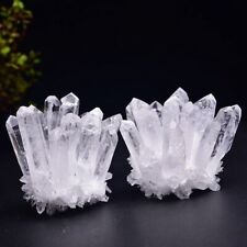 10Pcs 150g Natural Healing White Clear Quartz Cluster Specimen Crystal Reiki Gem picture