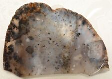 WRG- Montana Agate Slab 43 grams  Lapidary Old Stock picture