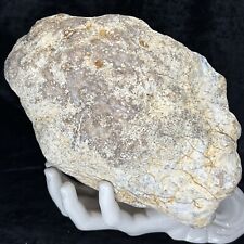 7-1/2” Hollow Unopened GEODE Rattler Quartz Crystal Large Break Your Own 7.11Lb picture