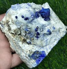 Large Deep blue Lapis lazuli Crystal with Golden Pyrite on white matrix Calcite. picture