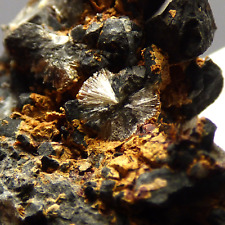 Wavellite TL Rodebridgeite High Down Quarry Filleigh Devon UK Mineral Specimen picture