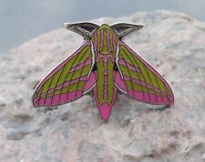 Elephant Hawk Moth Deilephila elpenor Butterfly Hawkmoth Brooch Pin Badge picture