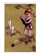 c1890's Stock Trade Card Victorian Boy Reading Book, Ink Pen & Birds picture
