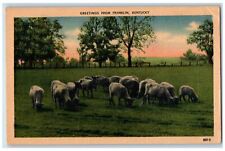 1948 Greetings From Franklin Sheeps Scene Kentucky KY Posted Vintage Postcard picture