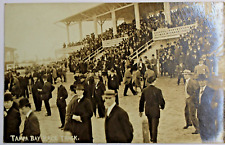 c1920 REAL PHOTO POSTCARD - TAMPA BAY RACE TRACK  TAMPA,FLA. picture