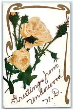 Underwood North Dakota ND Postcard Greetings Roses Glitter 1908 Vintage Antique picture