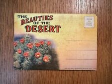 Vintage Foldable Postcard -