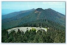 c1960 Looking North From Observation Tower Mt. Mitchell State Park NC Postcard picture