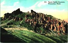 Squaw Saddle Mountain Wenatchee Washington WA UNP 1910s DB Postcard picture