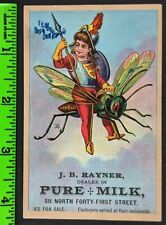 Vintage 1880's Rayner Pure Milk Knight Riding Bug Fly Spear Trade Card picture