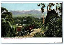 Redlands From Smiley Heights Horse Carriage Nature Scene California CA Postcard picture