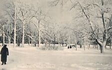 Winter Snow Thick Ice Prospect Park Niagara Falls New York RPPC Vintage Postcard picture