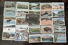 Vintage Lot of 47 Postcards Yellowstone National Park.  Blank, Unposted picture