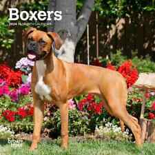 BrownTrout,  Boxers International Edition 2024 Mini Wall Calendar picture