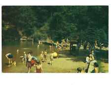c.1950s Swimming Cook Forest State Park Highway 36 Pennsylvania PA Postcard UNP picture