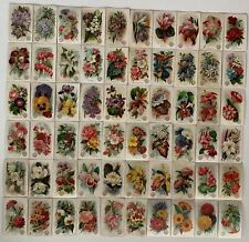 Beautiful Flowers 60 Card Set Arm & Hammer 1888 J16 New series Church & Co. picture