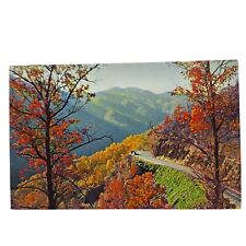 Postcard Autumn Scene On Newfound Gap Highway Great Smoky Mountains Chrome picture