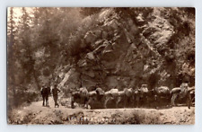 RPPC 1915. DONKEYS AT STURTEVANT CAMP, SIERRA MADRE, CALIF. POSTCARD MM27 picture