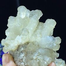 195g Natural Yellow Feather Calcite Crystal Mineral Specimen picture