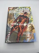 Daredevil Omnibus Vol 1 Marvel Stan Lee Everett Hardcover HC Comic Book picture