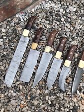 6 Custom Handmade Damascus steel Chef Knife set wood + Awesome  Handles picture