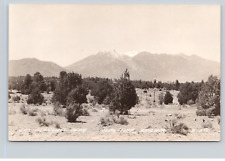 Postcard RPPC San Francisco Peak, Flagstaff, Arizona A40 picture