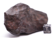Meteorite NWA Chondrite Meteorite 140 grams picture