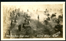 RPPC 1930's Western Kansas Rabbit Drive Dust Bowl Potter No. 23 Historic Photo picture