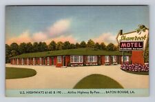 Baton Rouge LA-Louisiana, Shamrock Motel Advertising, Antique, Vintage Postcard picture