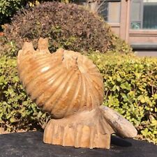 5.3LB Natural Large Beautiful Ammonite Fossil Conch Crystal Specimen Healing picture