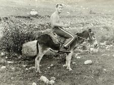 1970s Handsome Shirtless Man Beefcake Riding Donkey Gay Int VINTAG OLD PHOTO picture