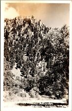 Vtg New Mexico NM Palisades Cimarron Canyon National Park RPPC Postcard picture