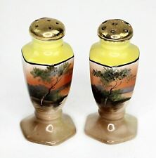 Vintage Ceramic Japan Luster Ware style Salt & Pepper Shakers Marked JAPAN picture