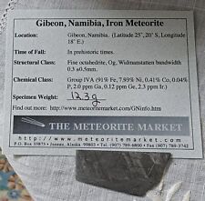 12.3 GM ETCHED GIBEON IRON METEORITE SLICE MUSEUM  GRADE   NAMIBIA AFRICA picture