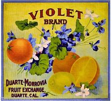 Duarte Monrovia Los Angeles Violet #1 Orange Citrus Fruit Crate Label Art Print picture