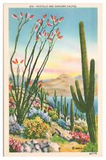 Vintage Ocotillo and Sahuaro Cactus California Postcard Unposted White Border picture