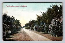 CA-California, An Oleander Avenue, Antique, Vintage Postcard picture