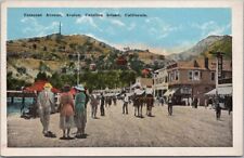 c1920s CATALINA ISLAND, California Postcard 