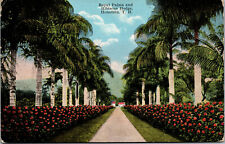 Vtg 1910s Royal Palms & Hibiscus Hawaii HI TH Island Curio Co Unused Postcard picture