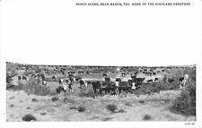 RPPC Postcard Texas Marfa Ranch Scene Highland Hereford Teich 23-4597 picture